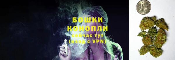шишки Красноперекопск
