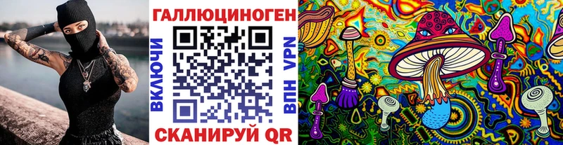 Купить где  Славянск-на-Кубани  Галлюциногенные грибы Psilocybe 